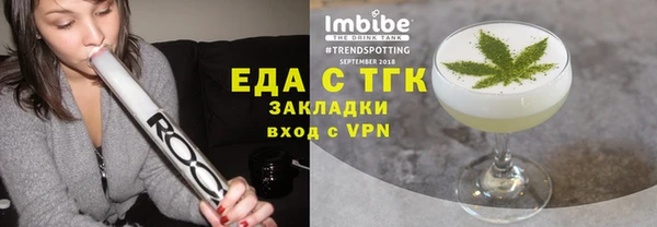 индика Алексин