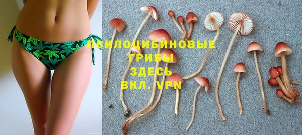 спайс Мегион