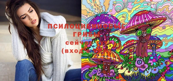 jwh Абаза