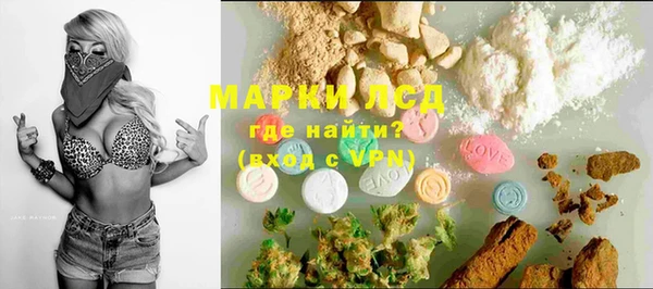 индика Алексин