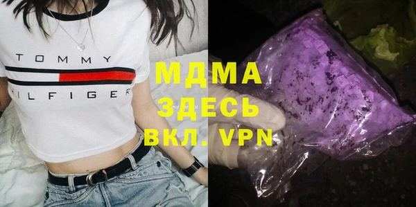 индика Алексин
