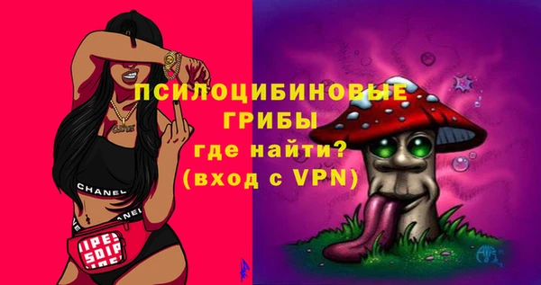 индика Алексин