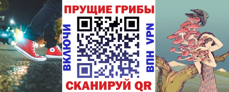 магазин продажи   Якутск  Галлюциногенные грибы GOLDEN TEACHER 
